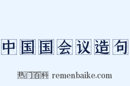 中国国会议造句是什么意思的图片